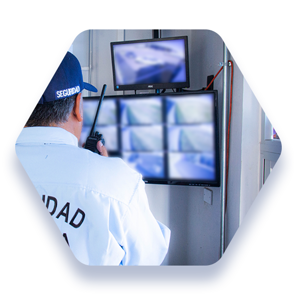 seguridad